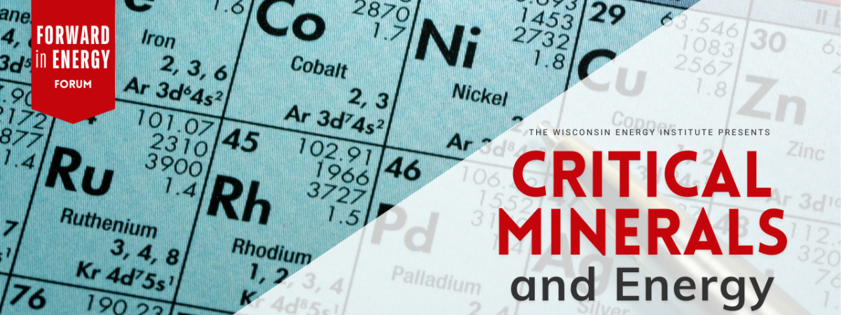 Luca Mastropasqua to Join Panel on Critical Minerals
